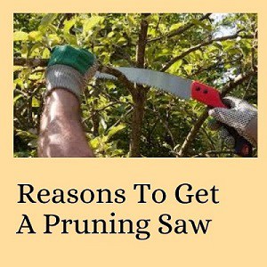 Reasons To Get a Best Pruning Saw.