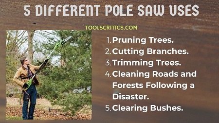 5 different ways of pole saw uses